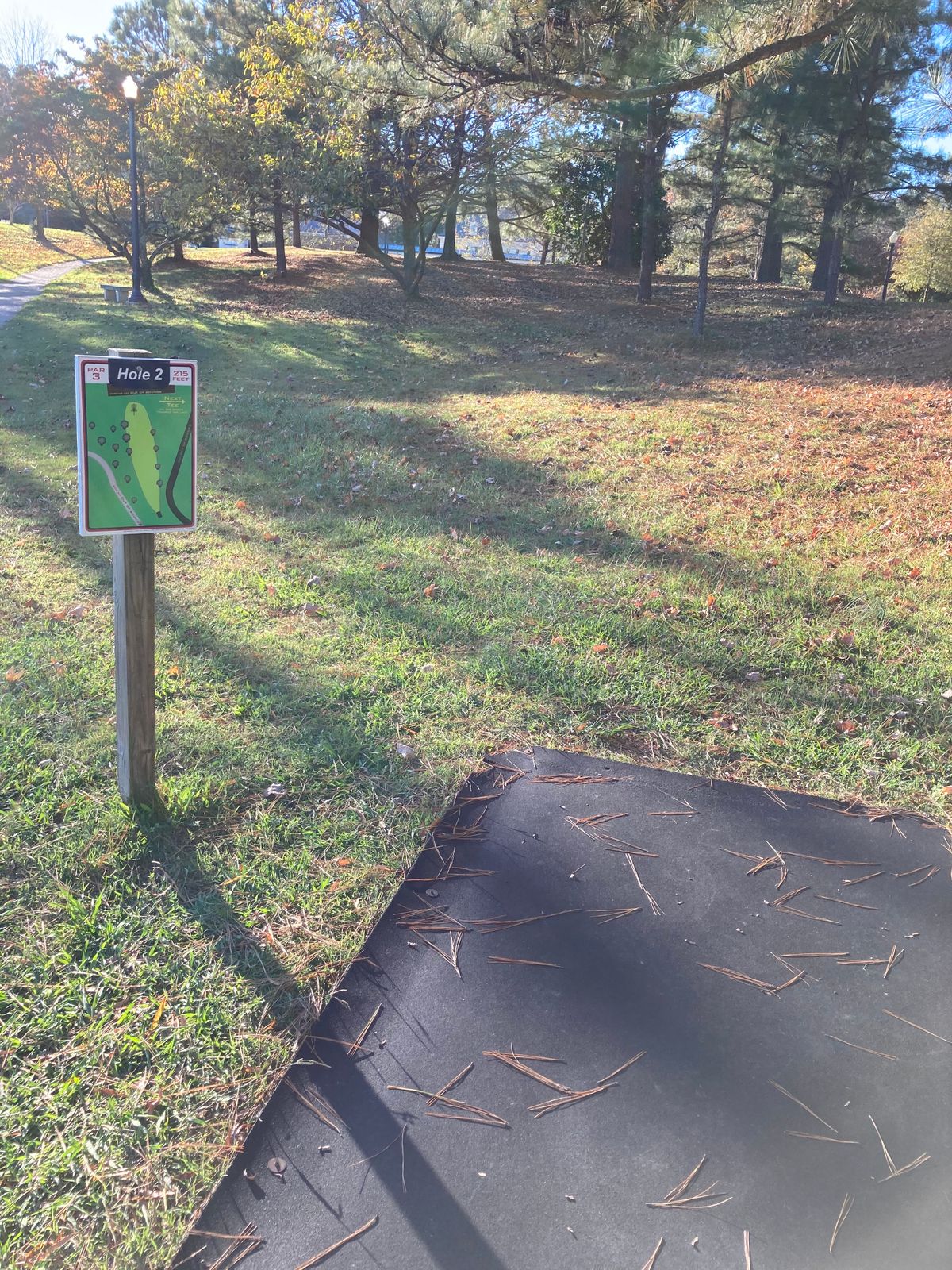 Rubber tee pads