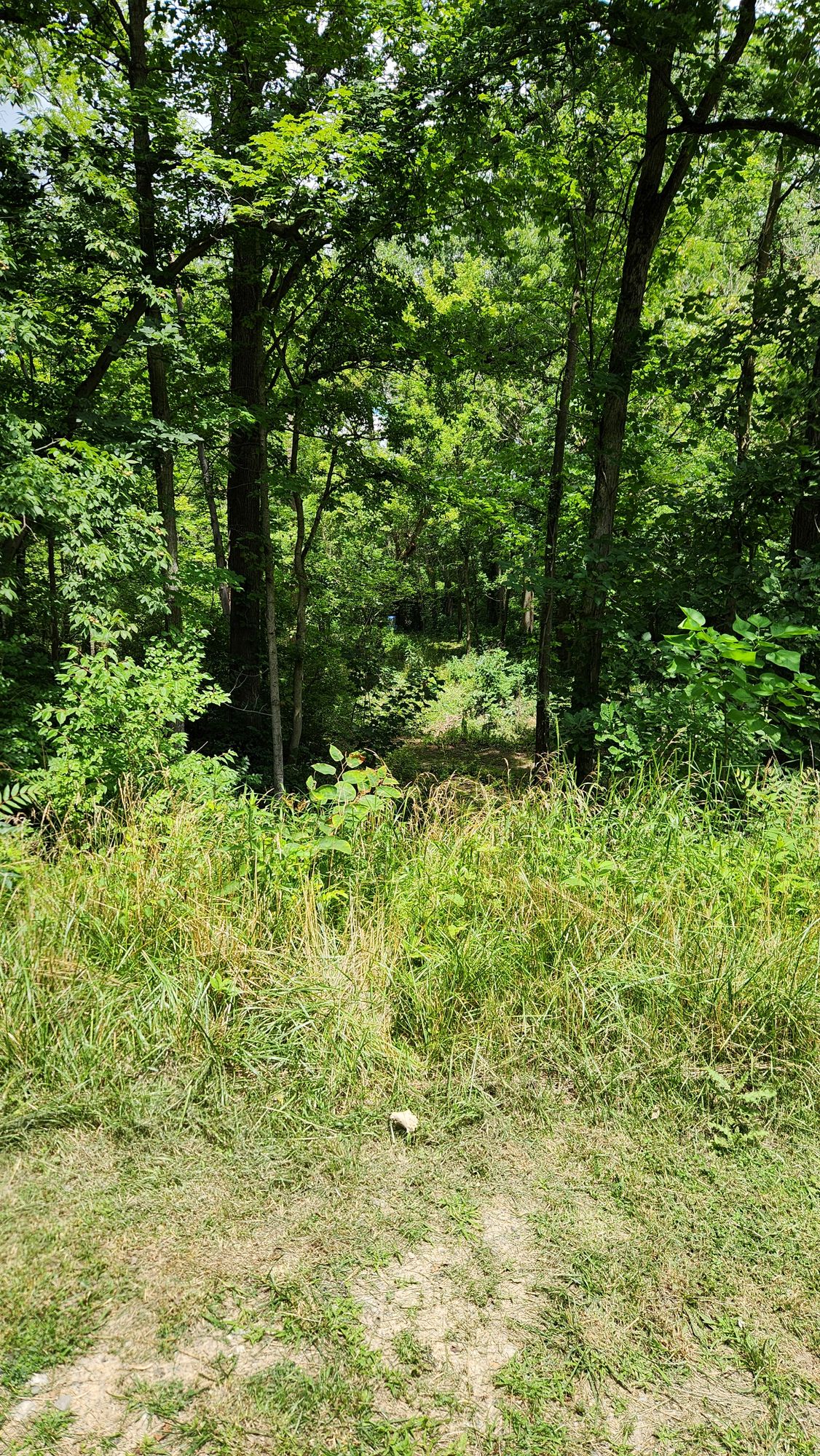 Hole 9 view from tee