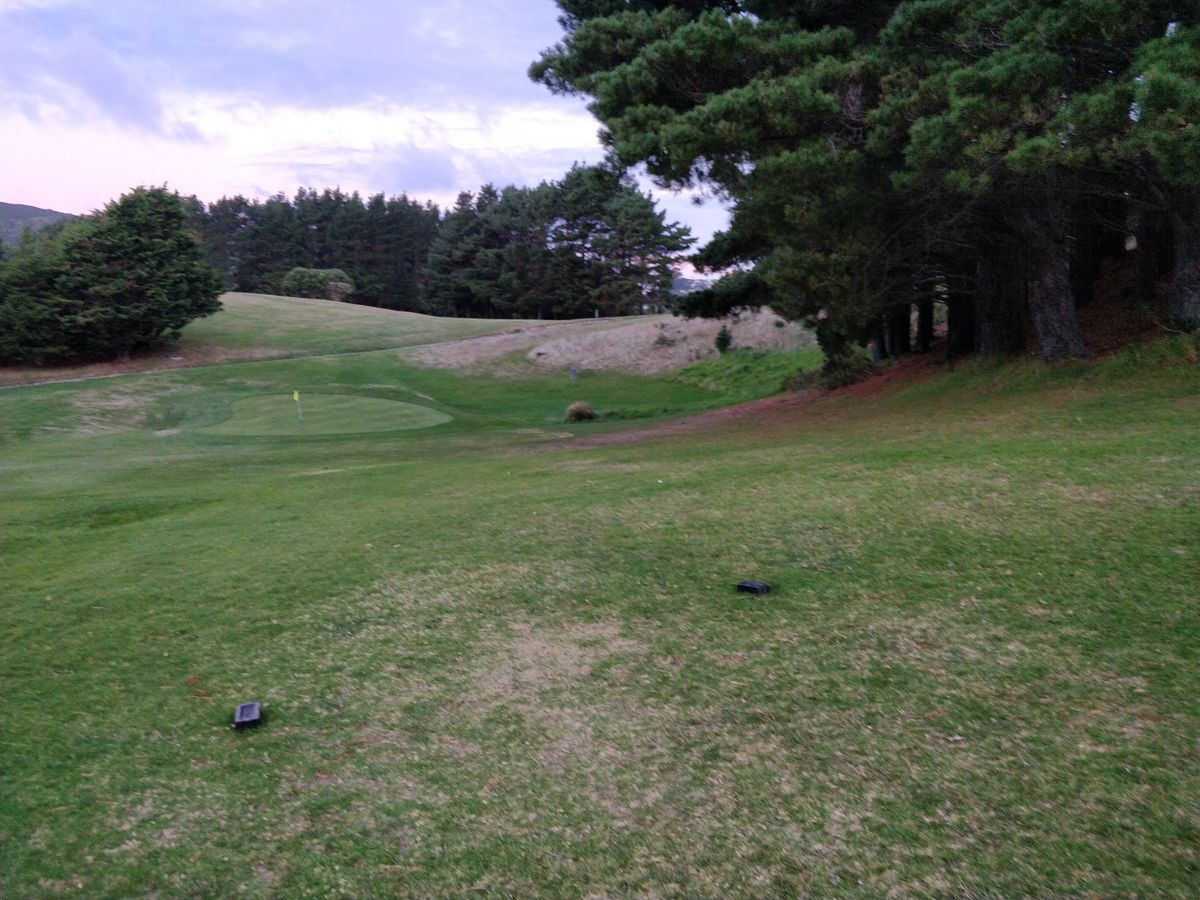 Hole 10 tee, basket in background