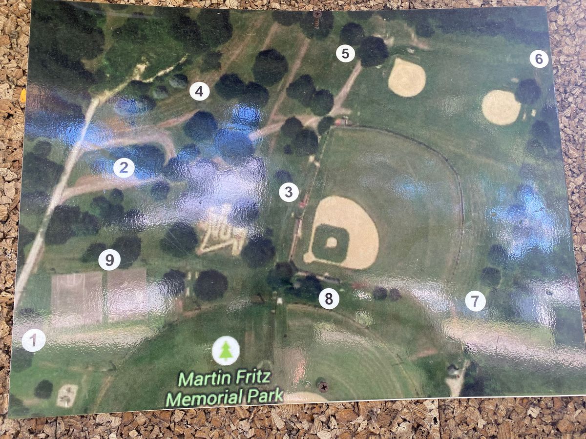 Layout of course