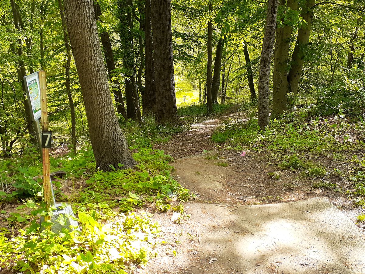 Hole 7 Tee