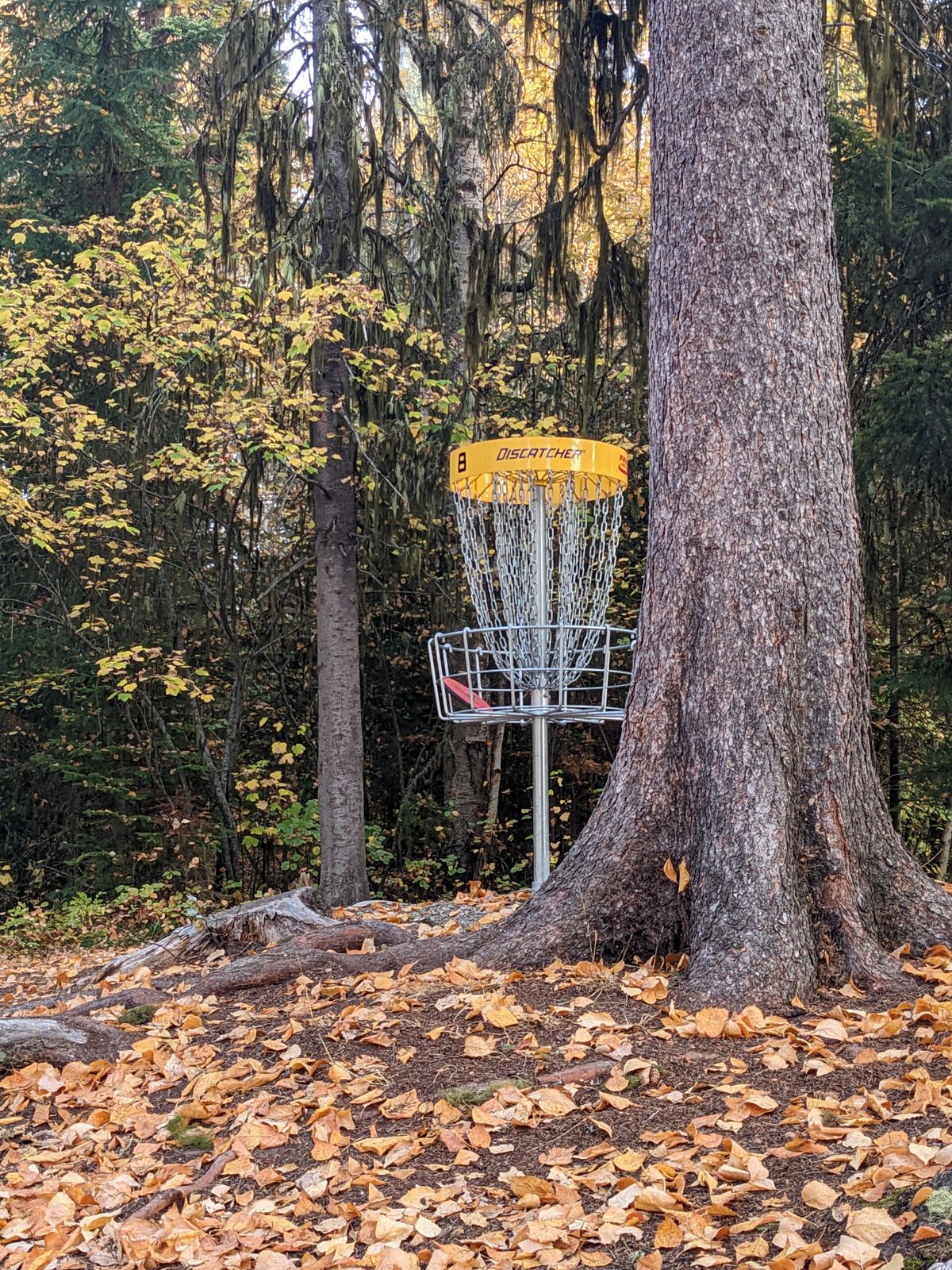 Basket at hole eight