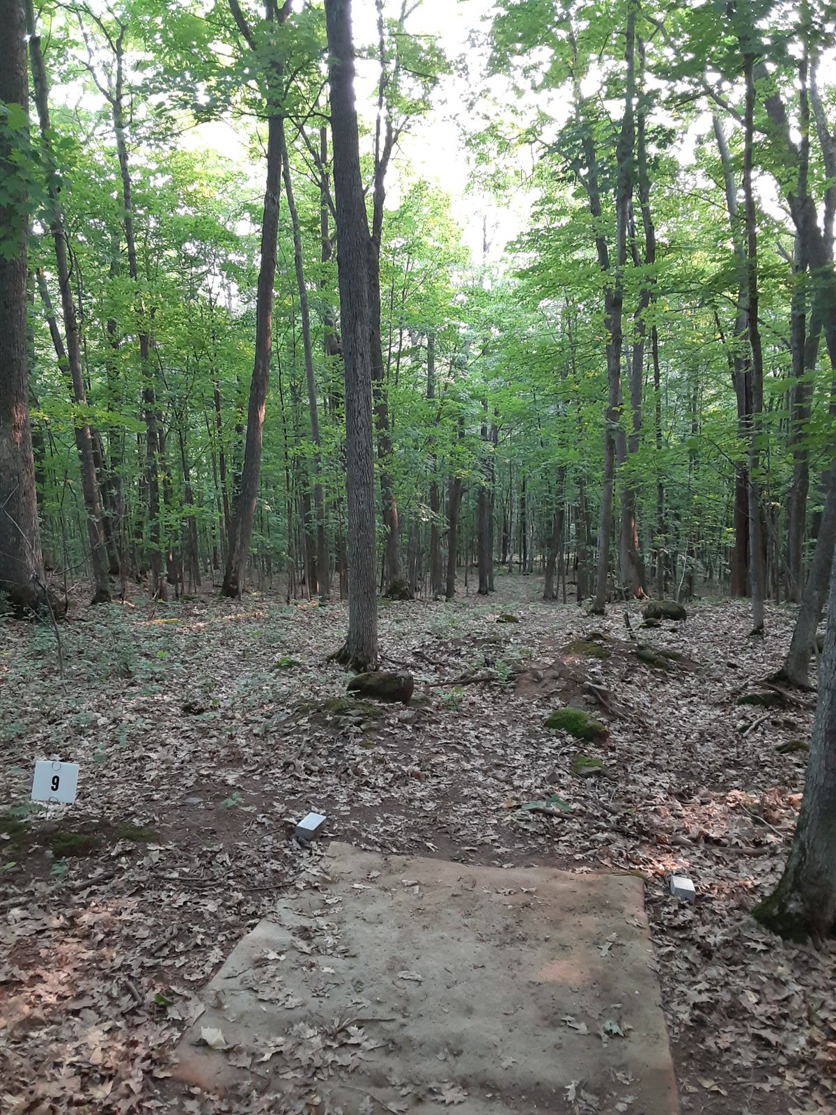 Hole 9 tee