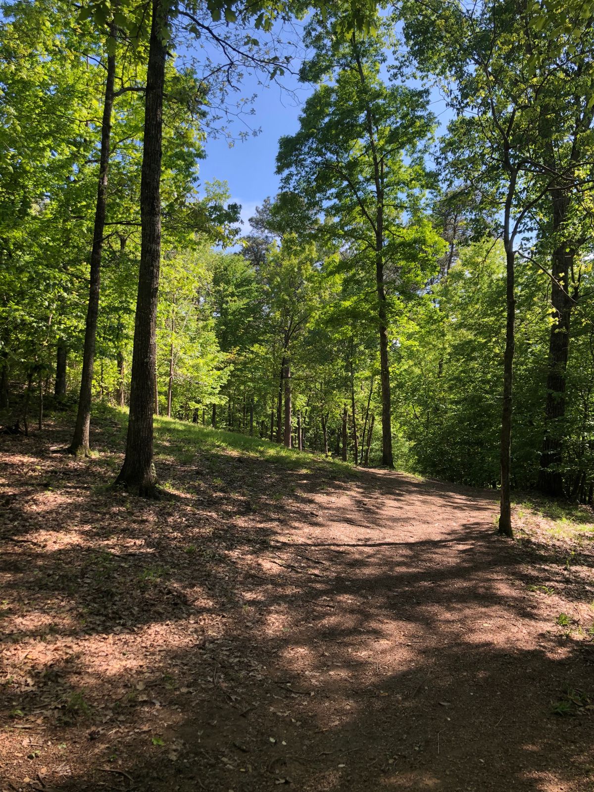 Hole 2