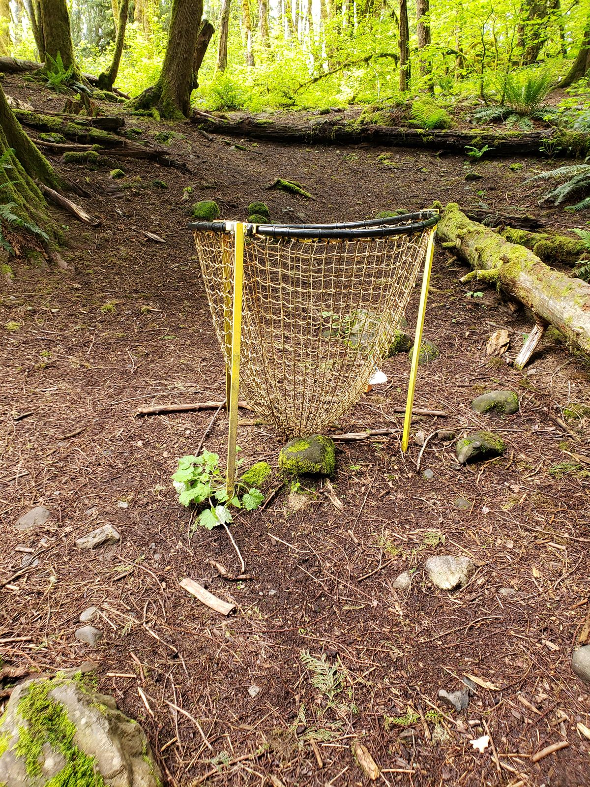 Hula hoop baskets.