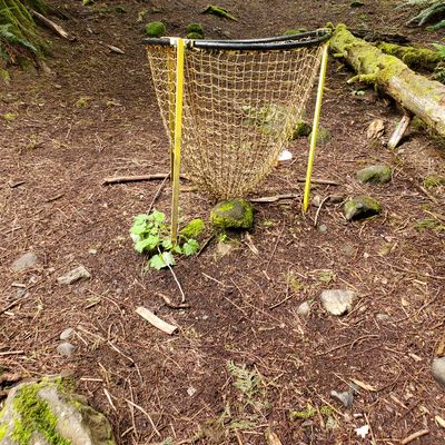 Hula hoop baskets.