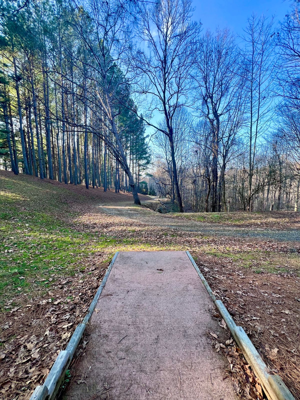 Hole 3 Gold Tee Pad/Fairway.