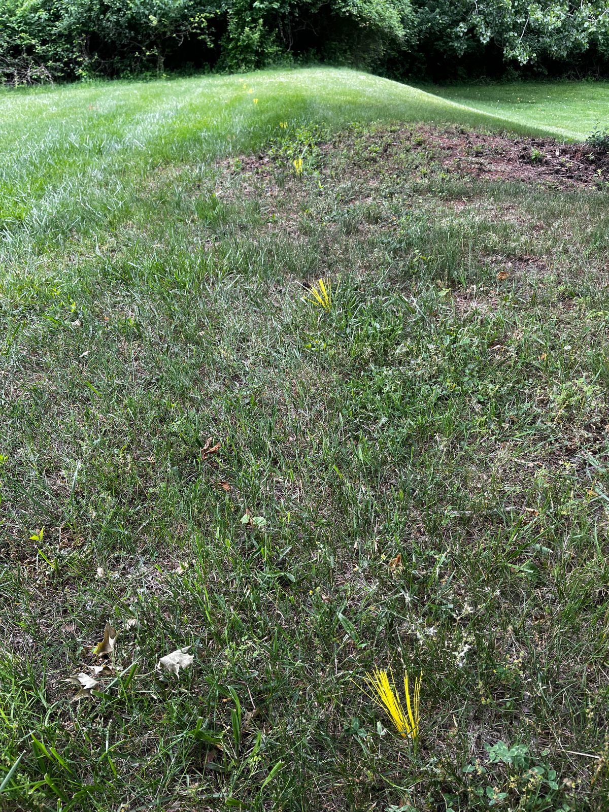 Out of bounds markers are placed behind hole 1 to the West and along the north side of hole 2.