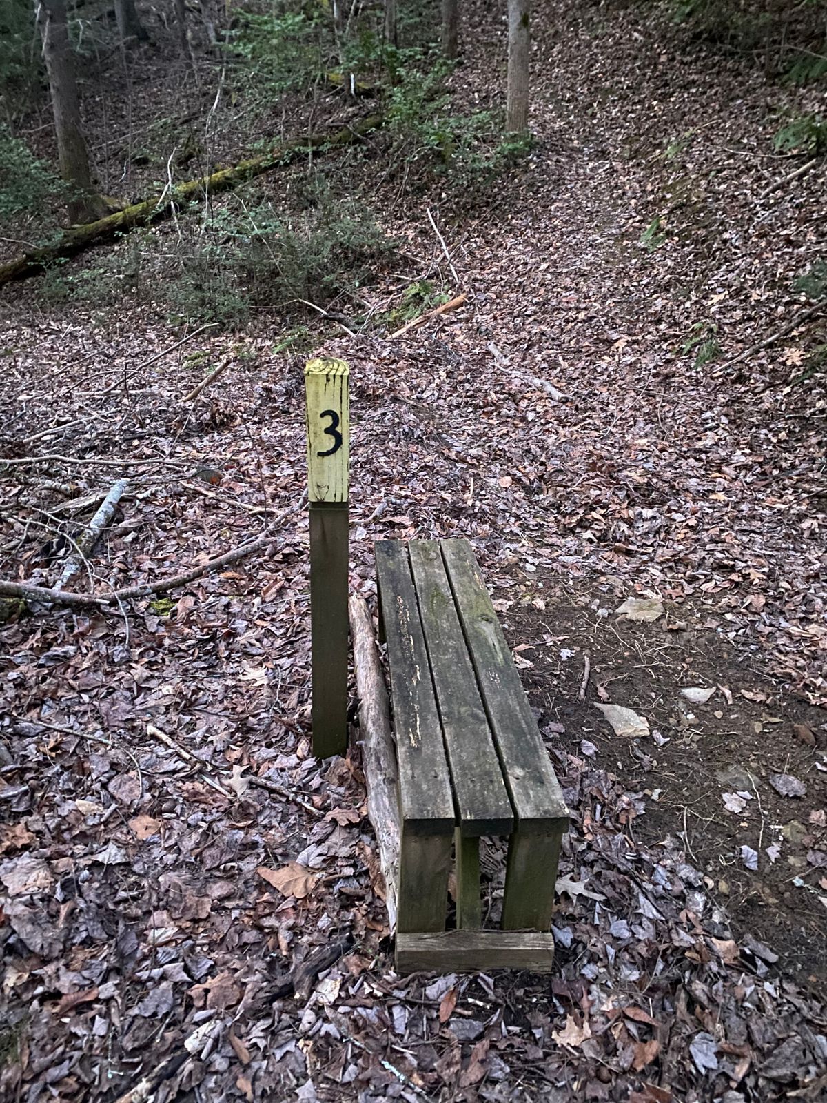 Tee box of hole 3