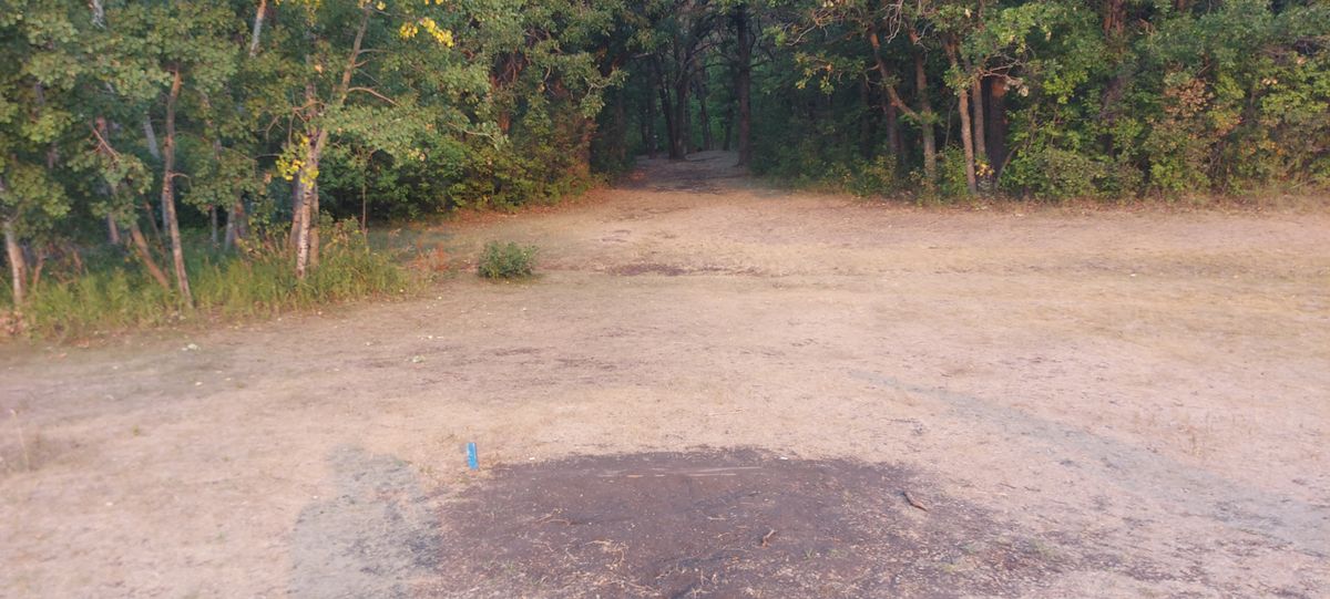 Tee pad 🍁🍂🍁🍂🍁