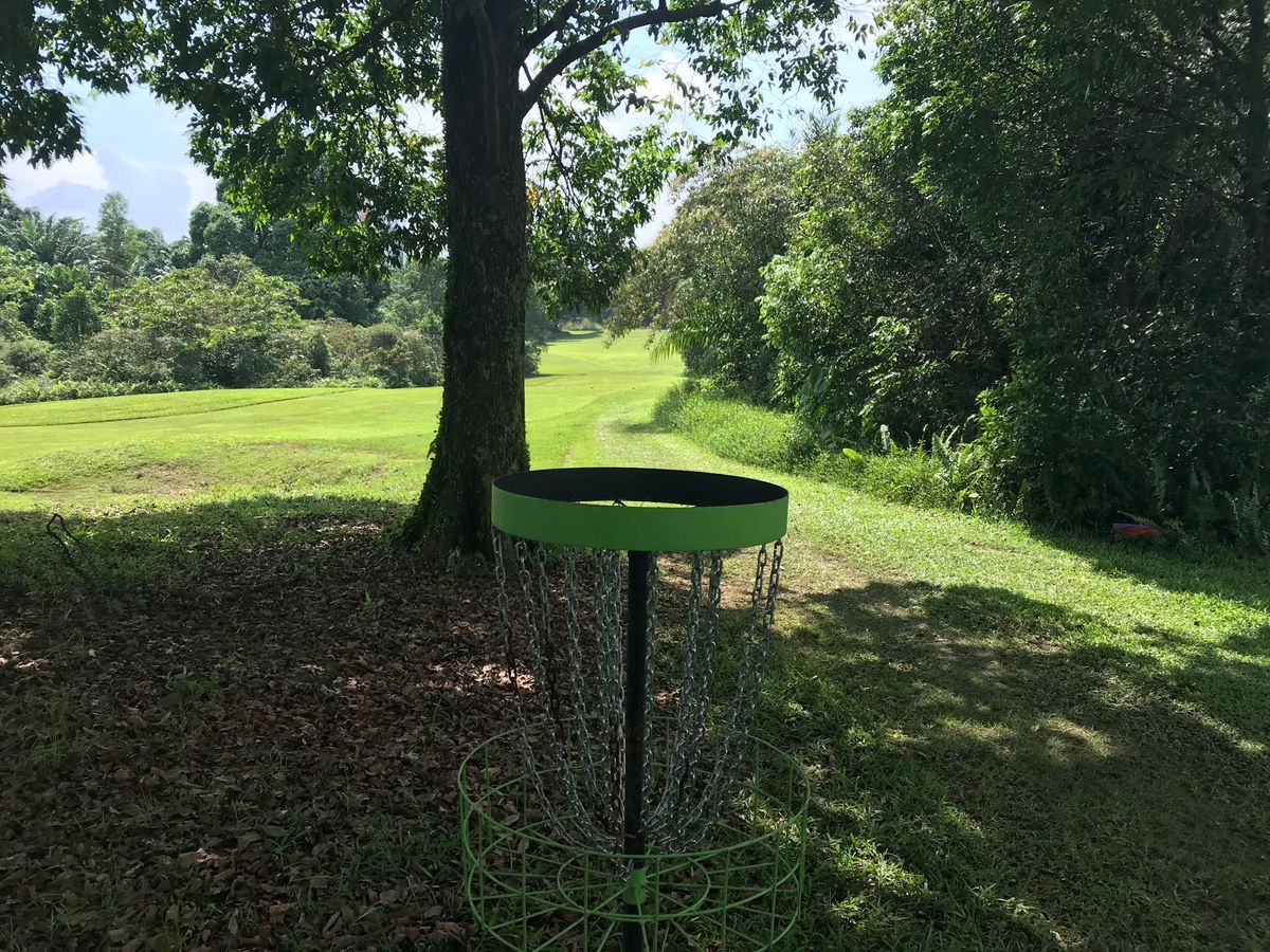 Basket for 11. Same basket as for 2