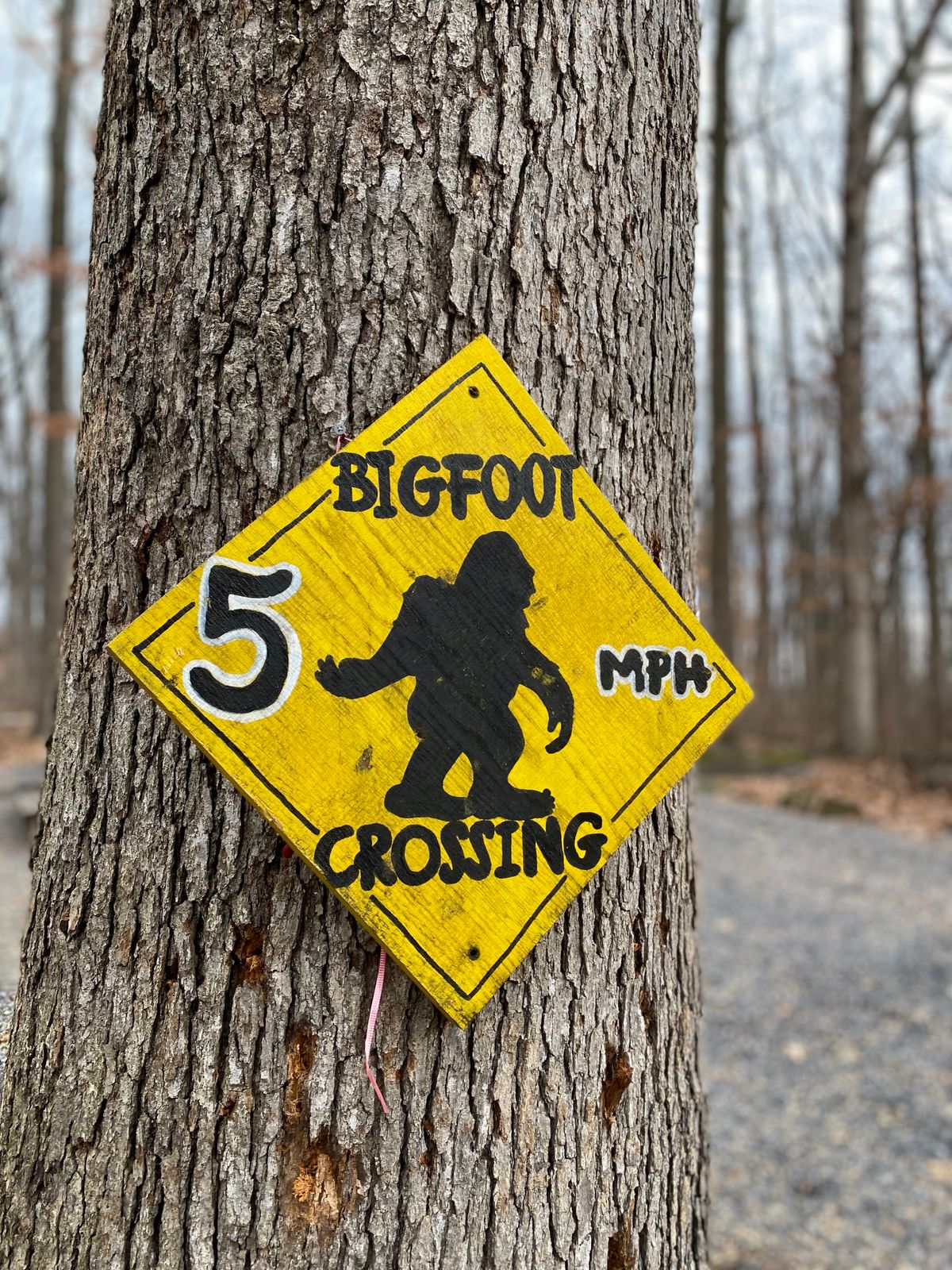 Bigfoot