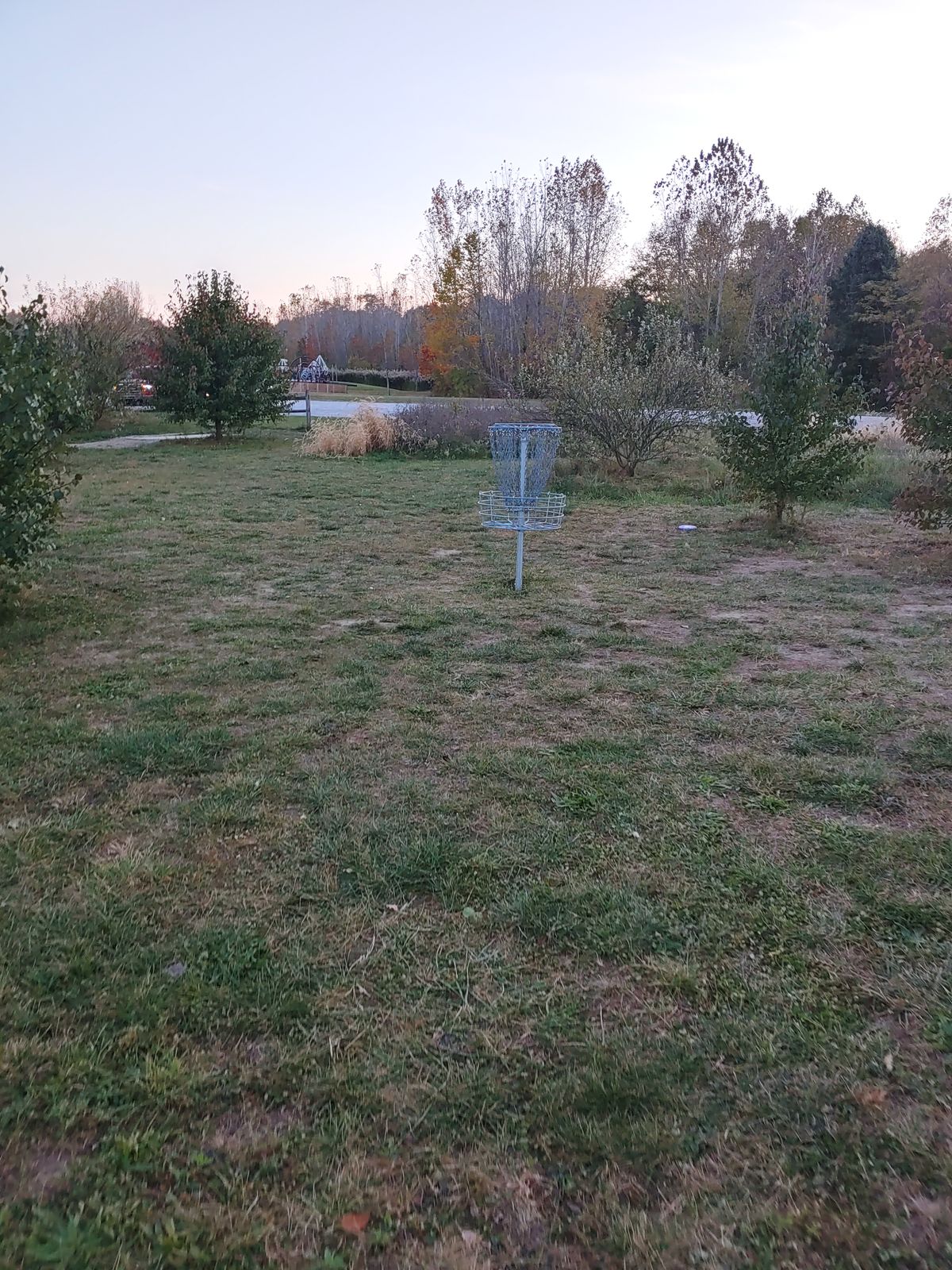 Hole 7 basket
