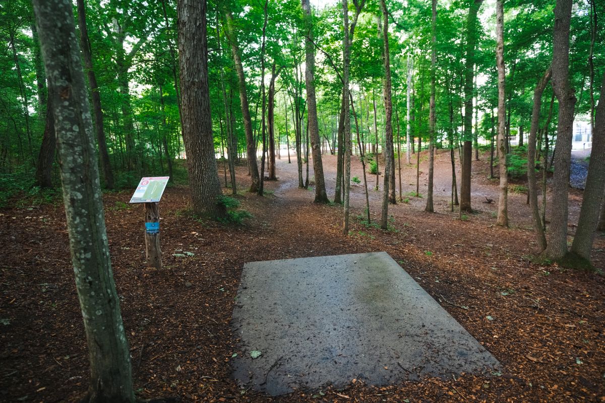 Hole 6 short