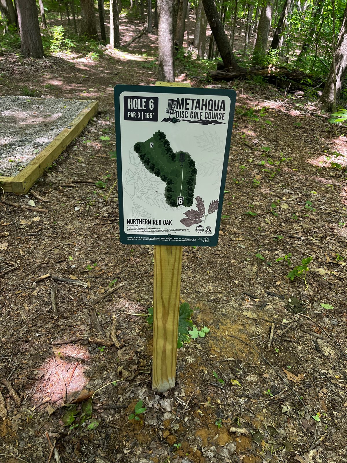 Hole 6 tee sign