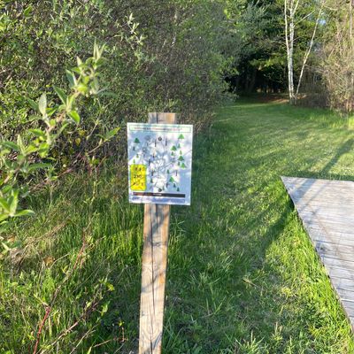 Tee pad 3