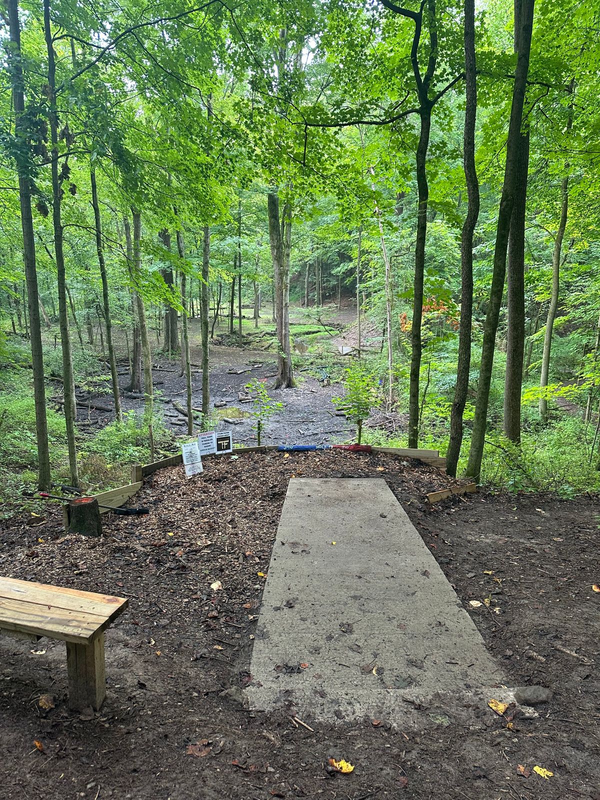 Hole B tee pad (8/3/24)