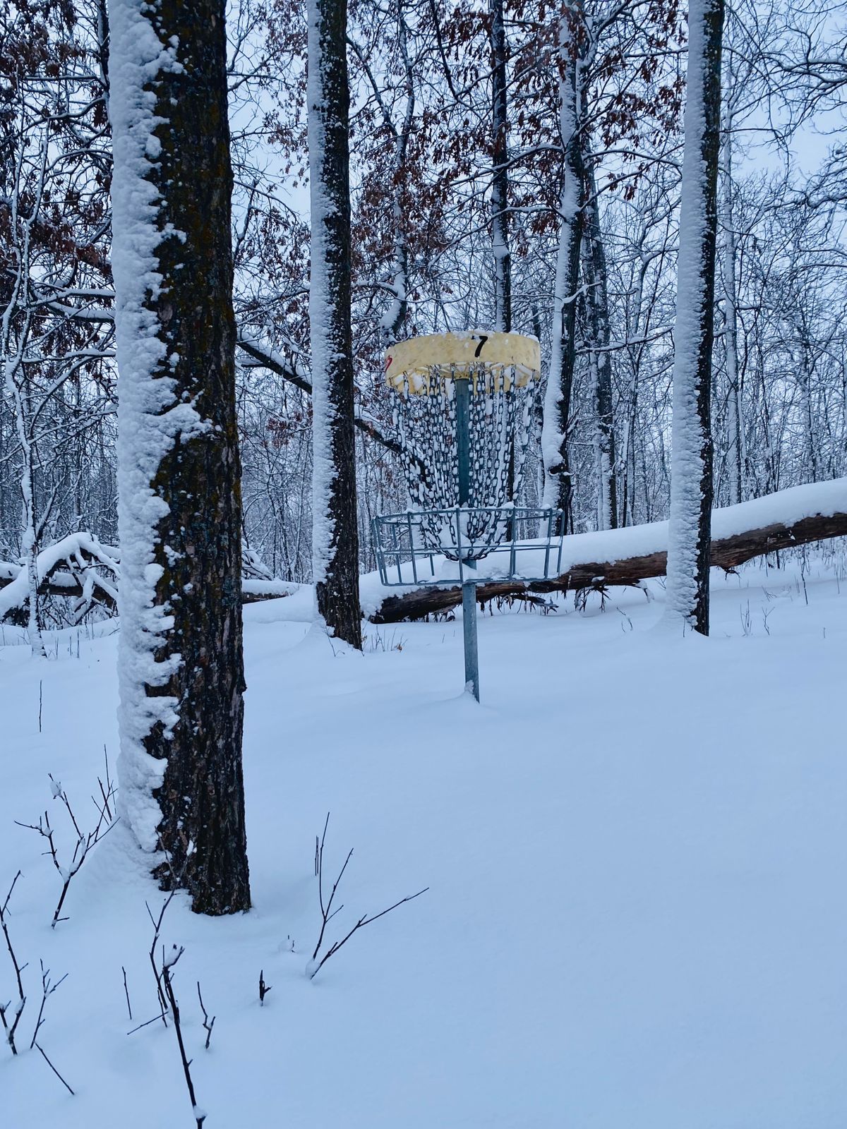Hole 7s basket after a fresh snow
