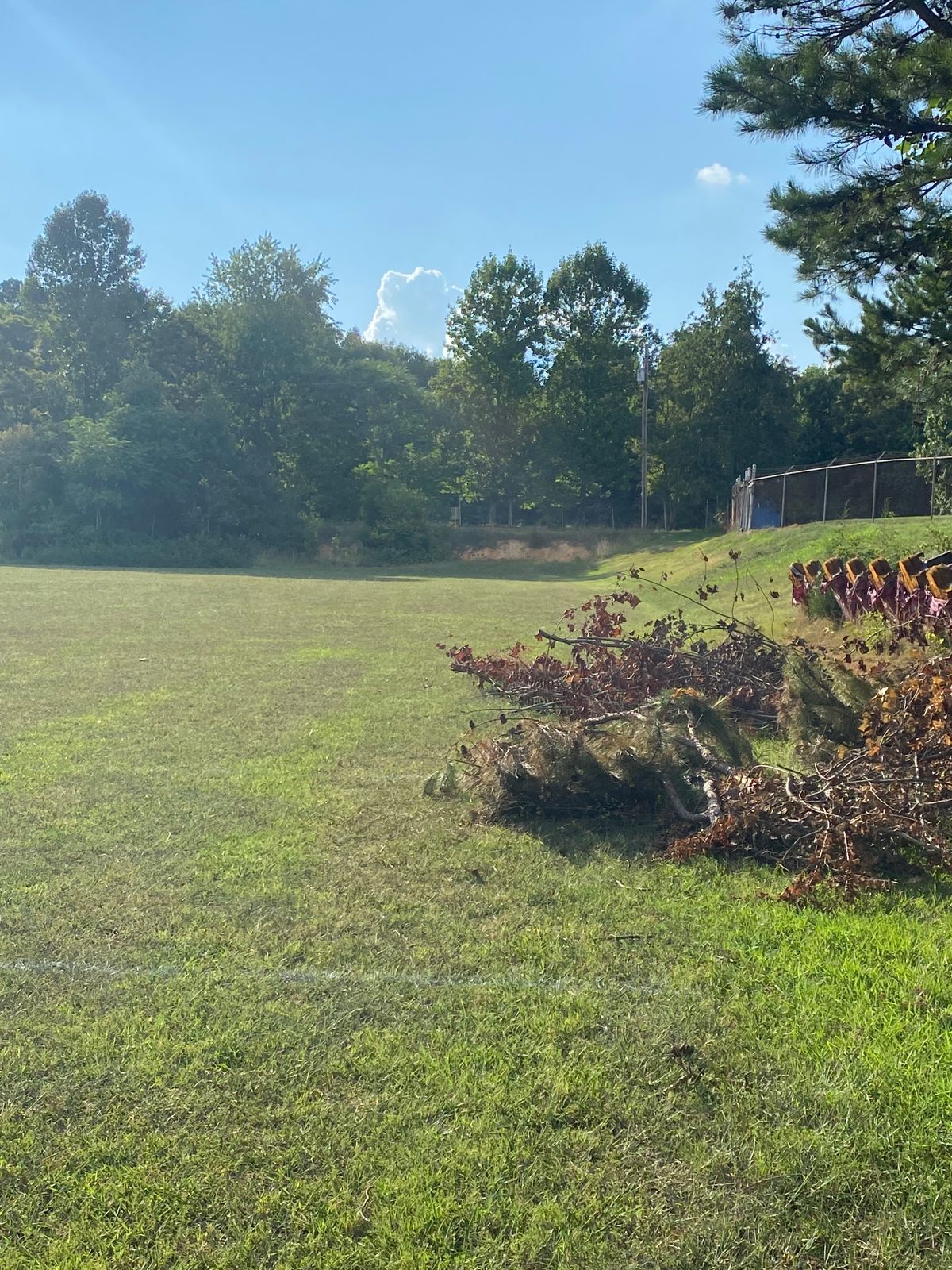 Hole 2 Basket to Tee