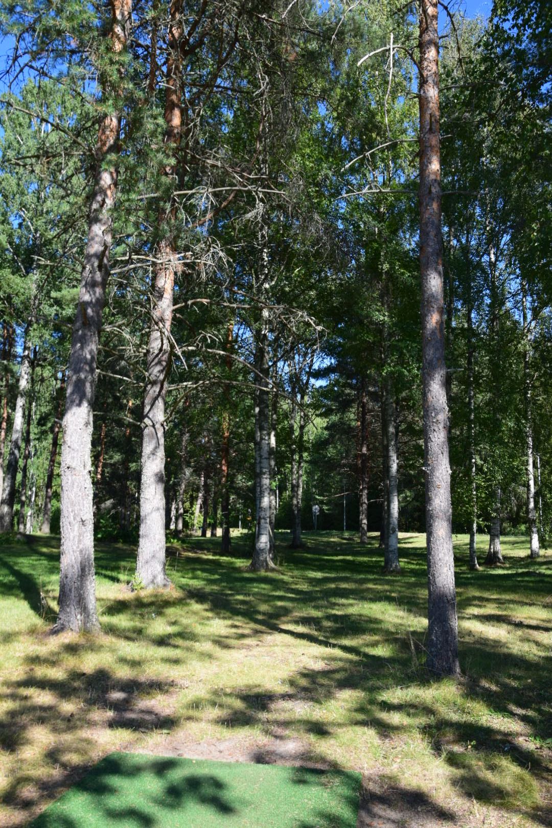 Väylä 1. 46m Vasemmalle kääntyvä tiukka metsäpilli.