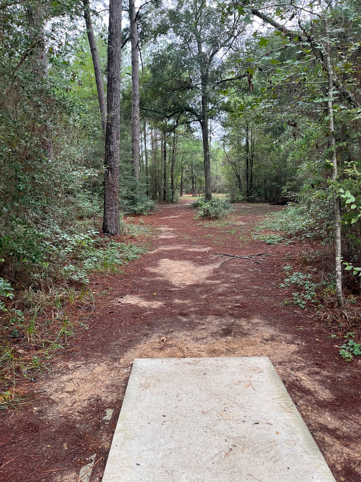Hole 17 11/11/23
