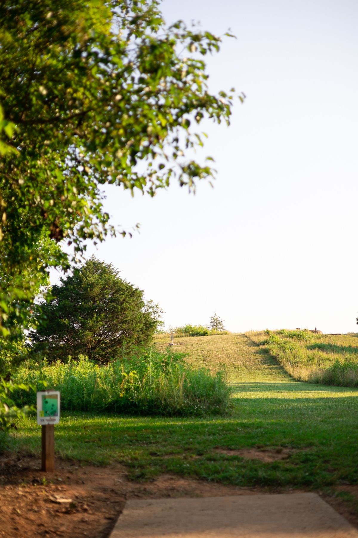 Hole 13 Short