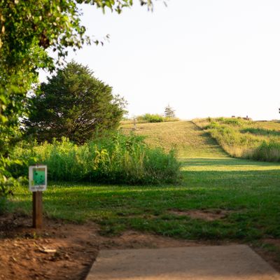 Hole 13 Short
