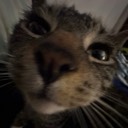 User avatar image