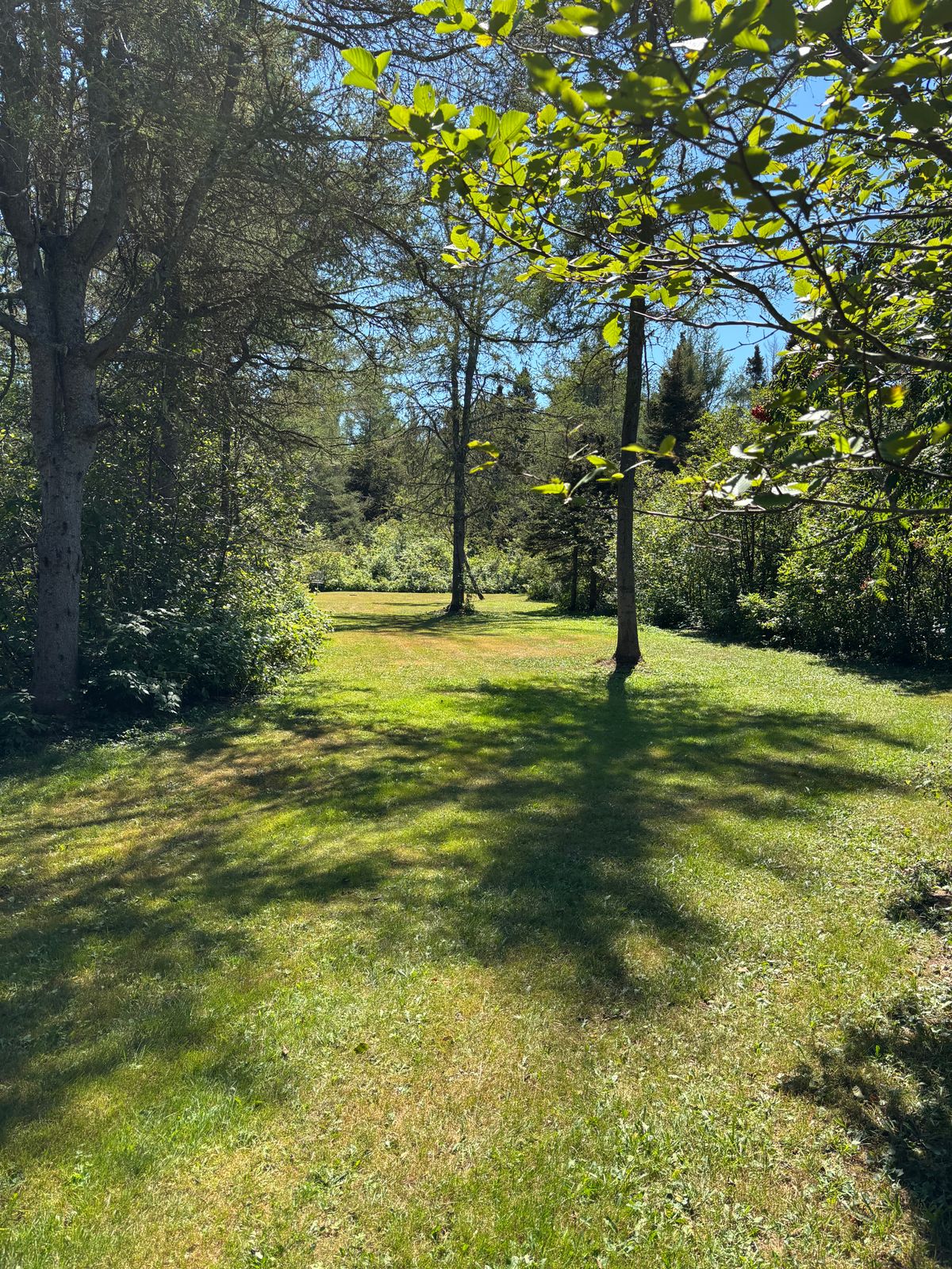 Fairway hole 4
