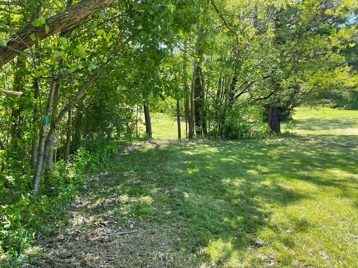 Hole 5 Red Tee