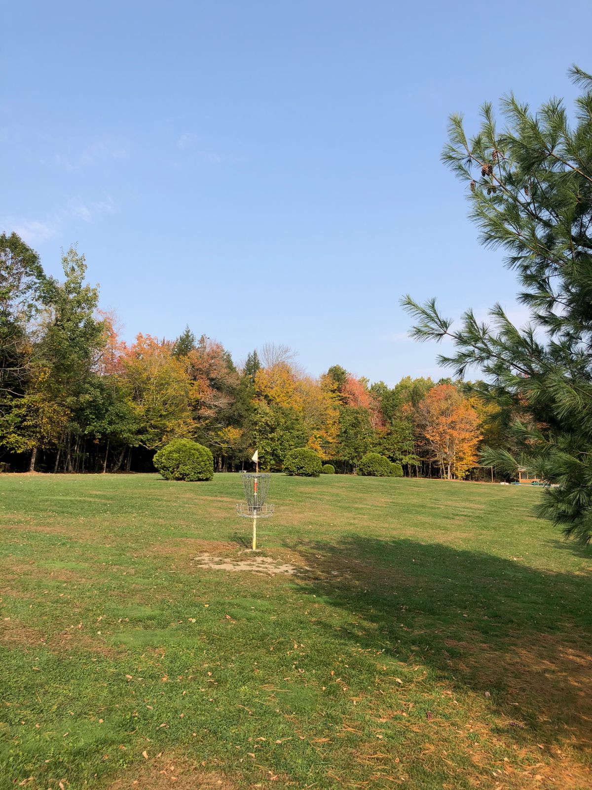 Hole 1 original Mach 5 basket
