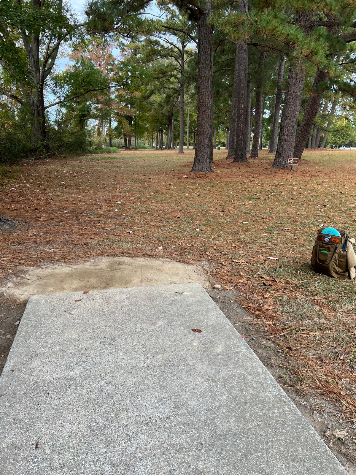 Short tee on 10, basket on right side of fairway protected by the trees
