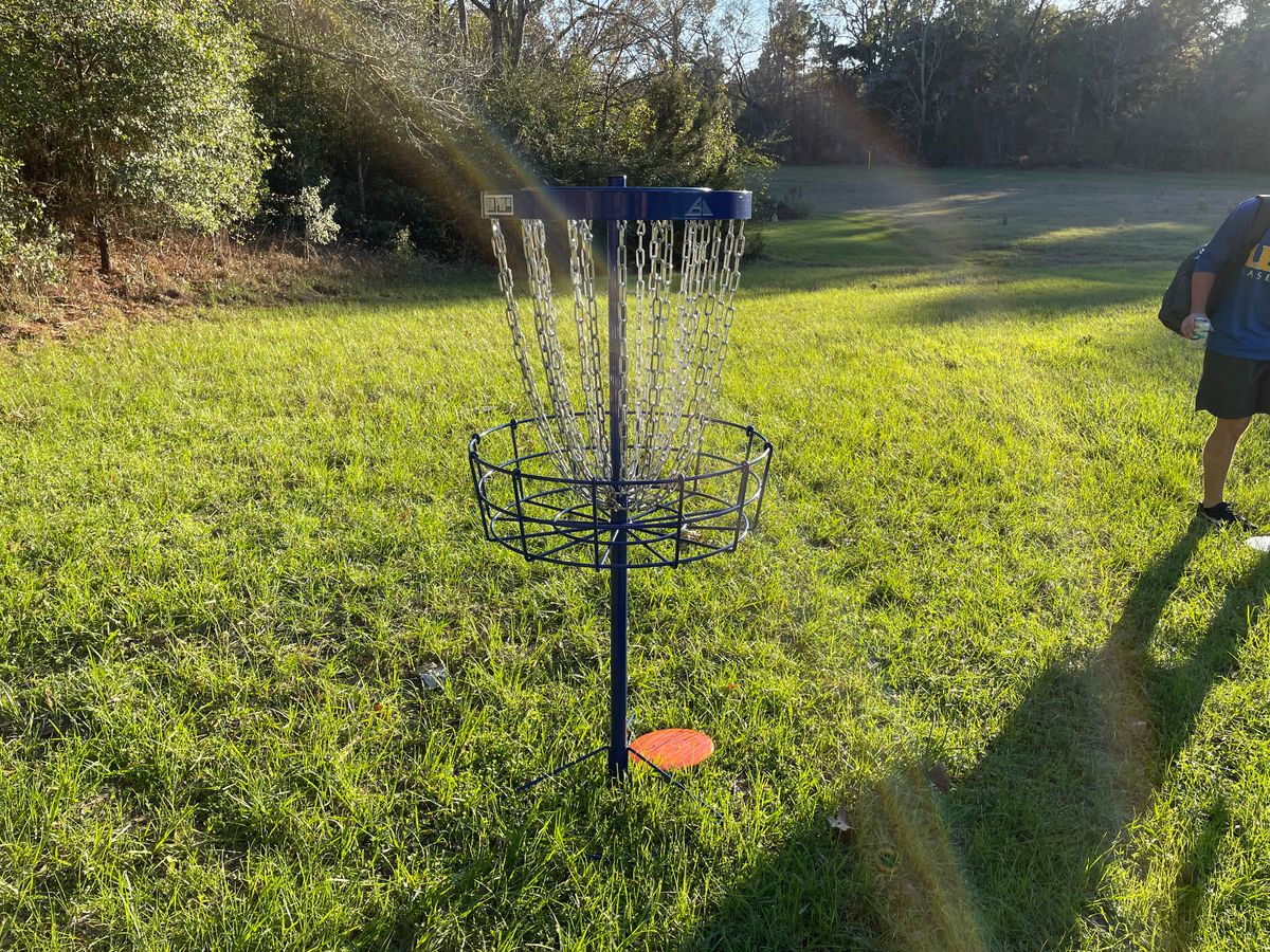 Axiom Pro HD baskets on hole 2
