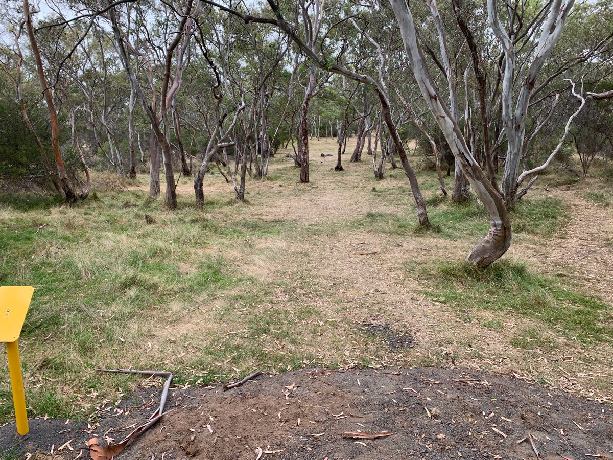 Hole 17