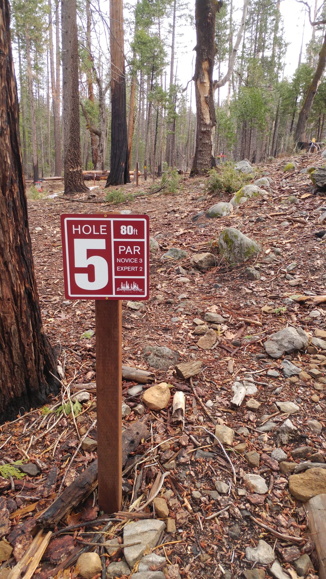 Tee sign showing distance and par.