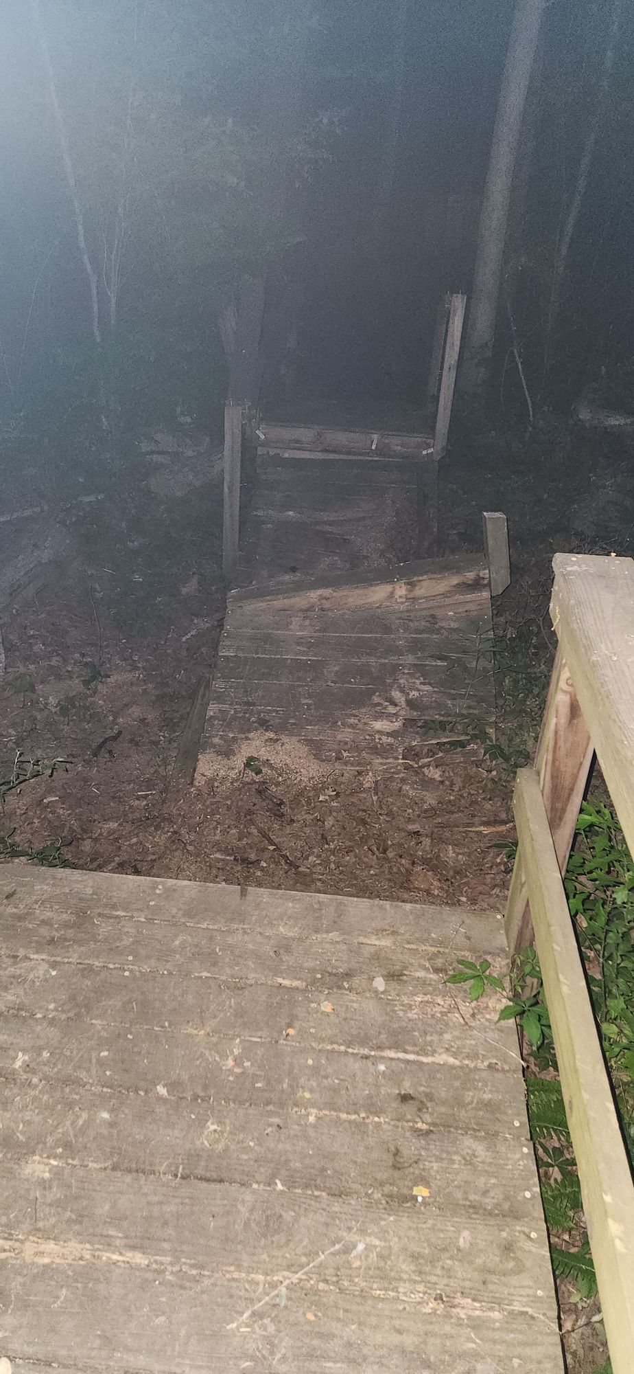 Sad sight tonight. From hole 1 to hole 2. Course is really not playable now! Needs alot of help.