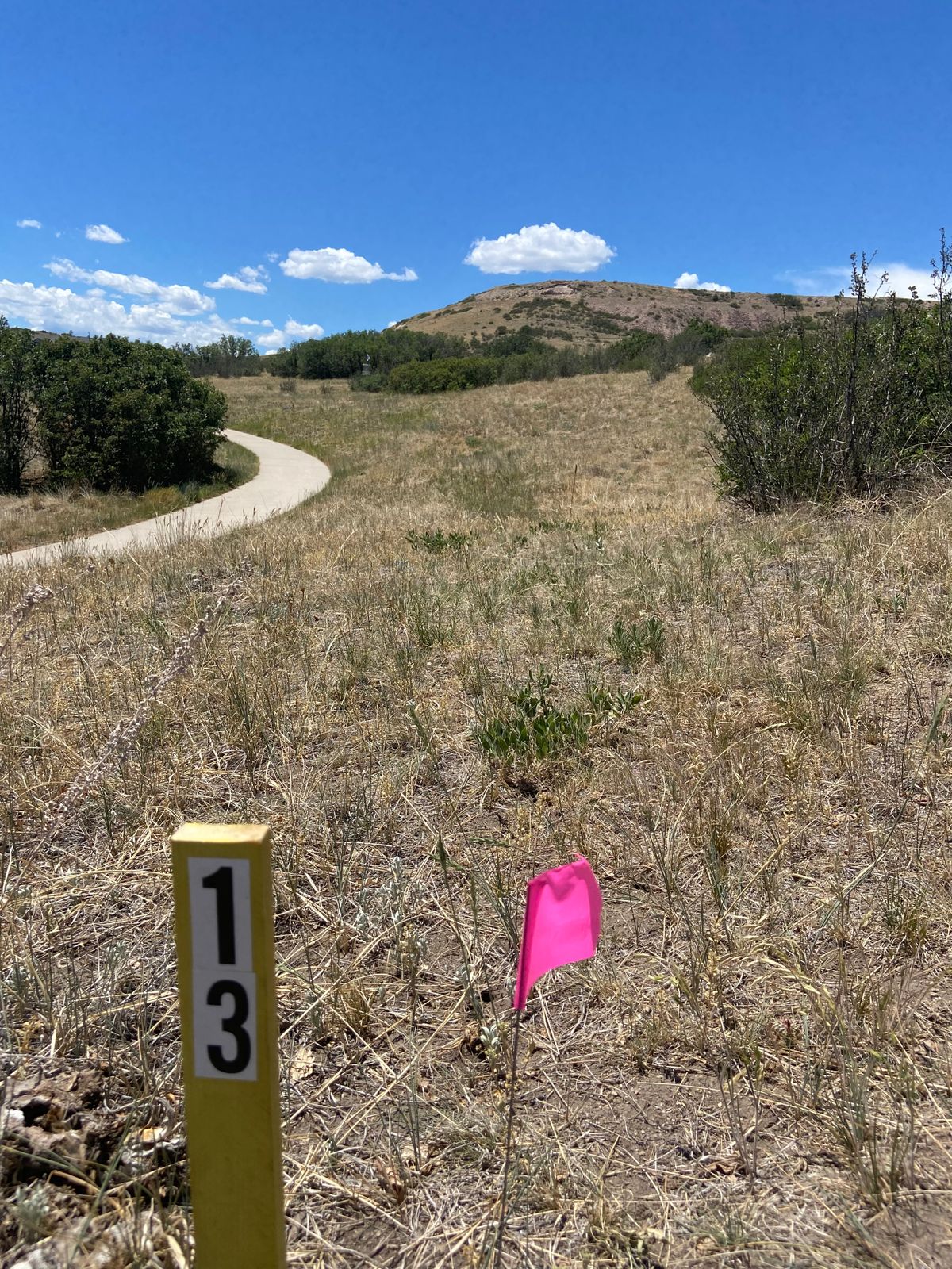 Hole 13 tee to basket