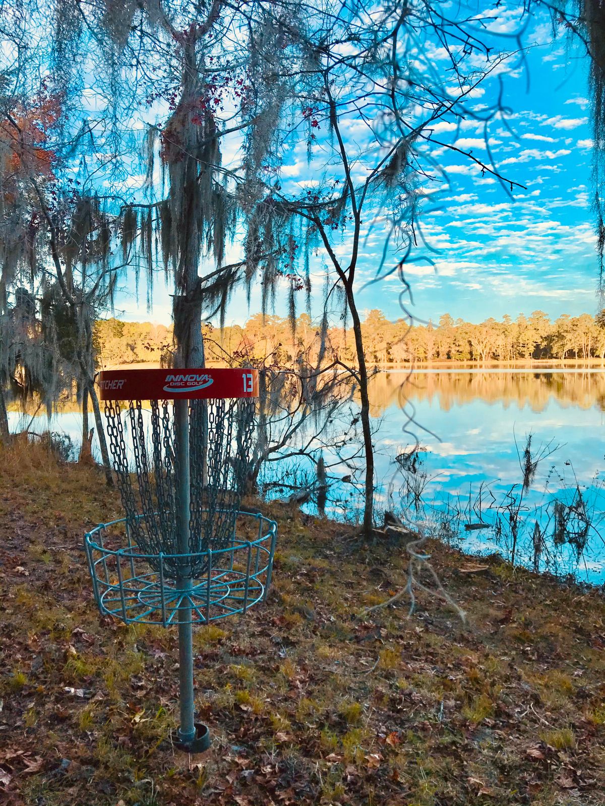 Blue Skies and Birdies
@AeroRising on Instagram
