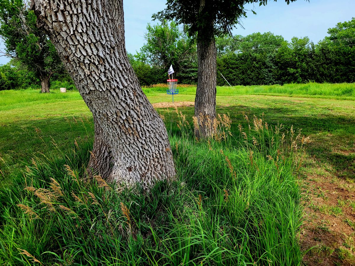 Hole 1: "Ashes to Ashes" green