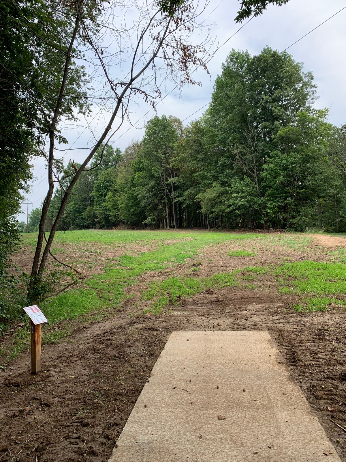 Hole 6 tee.