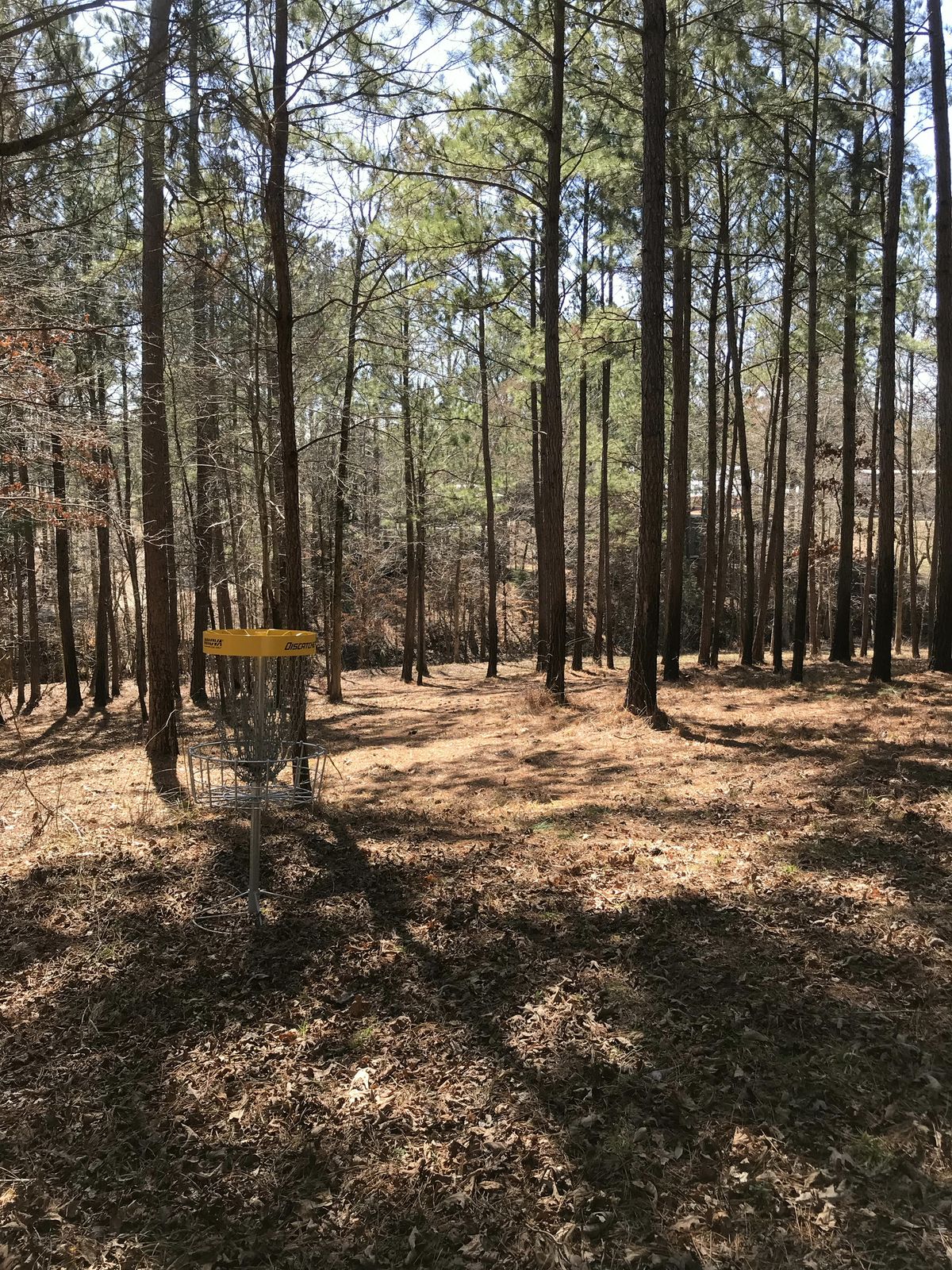 Hole 3 - basket to tee