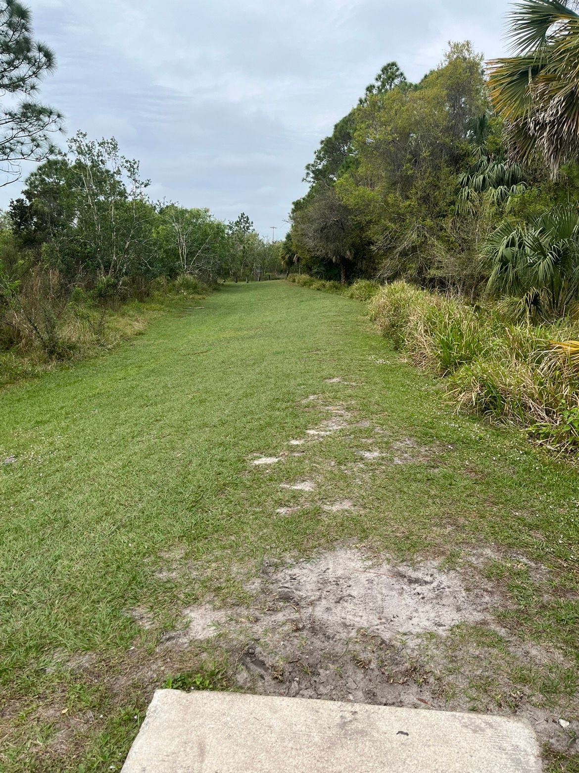 Hole 6