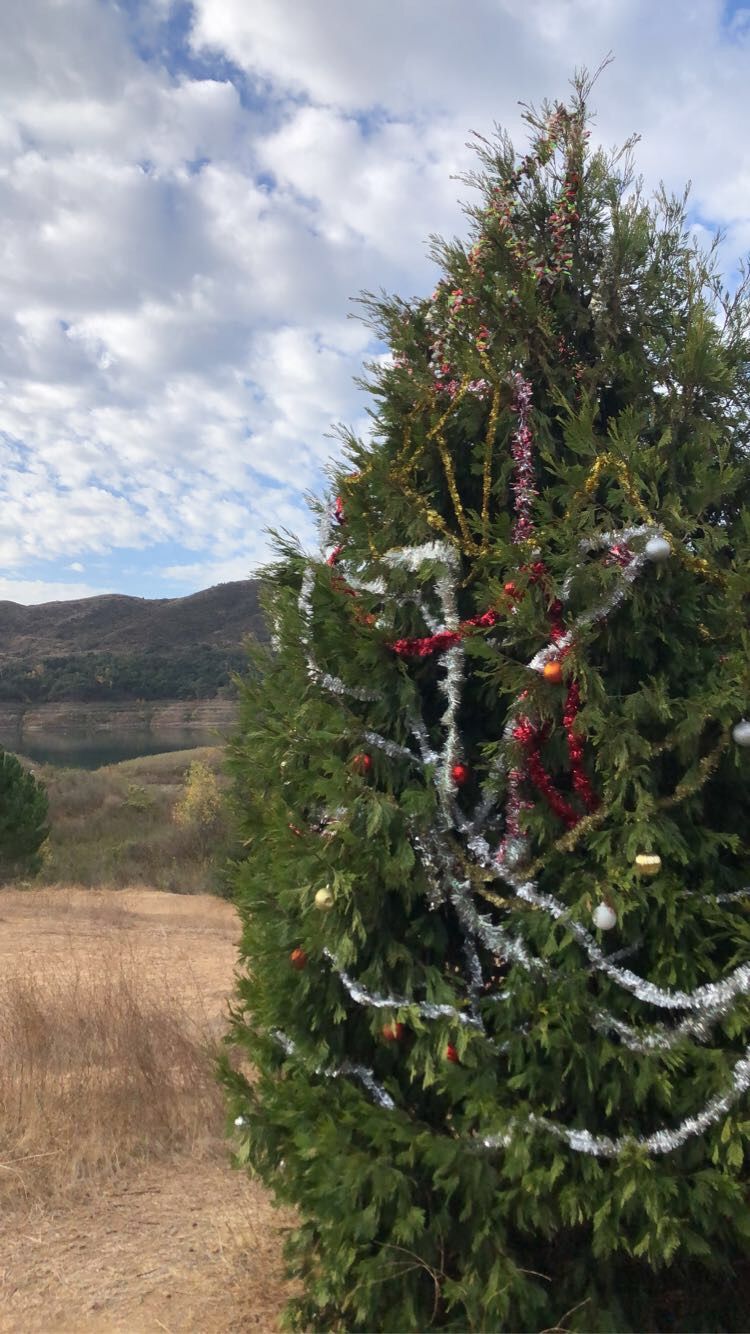 Festive tree near hole 1 basket