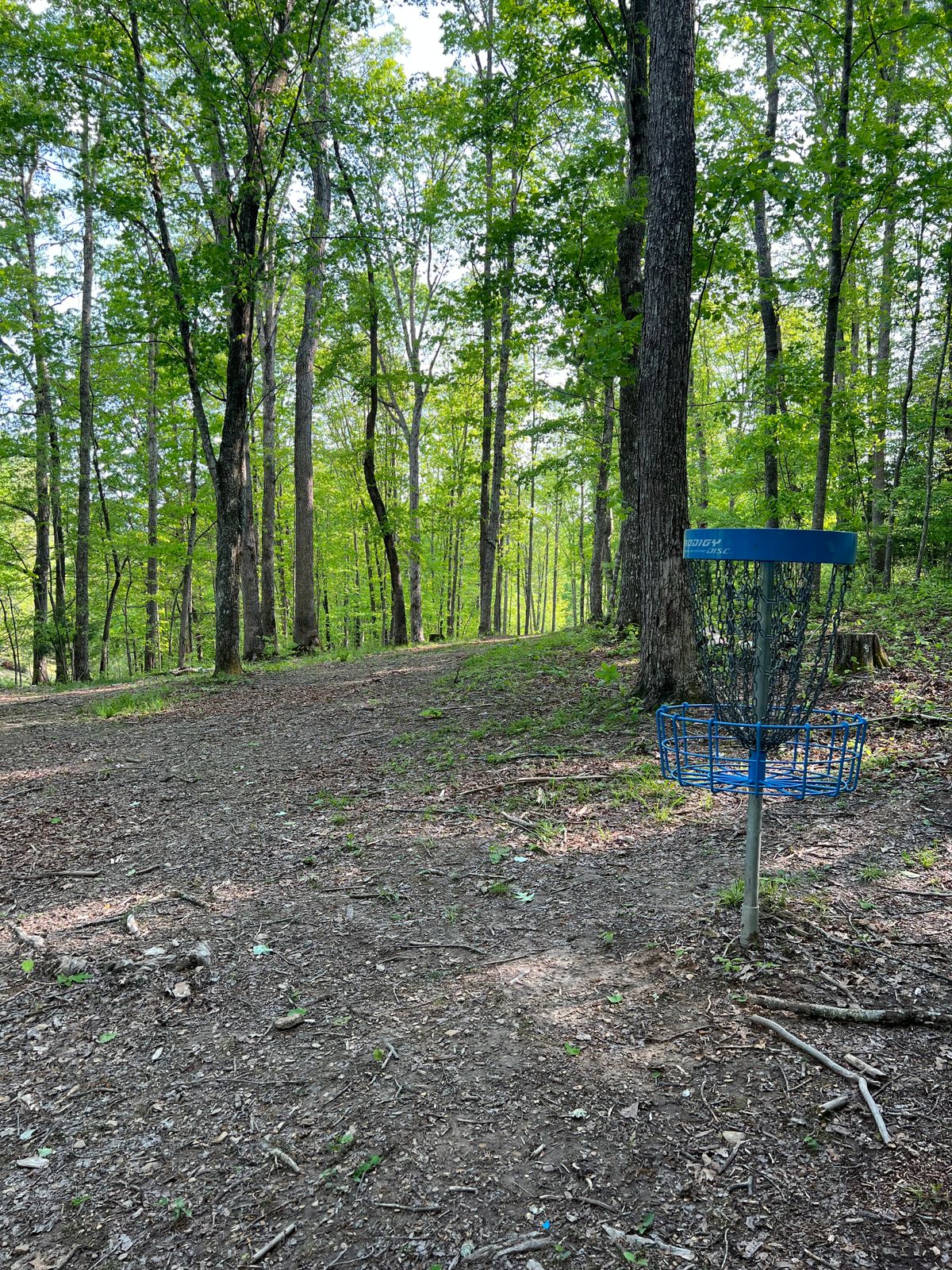 Hole 9 Basket to Tee