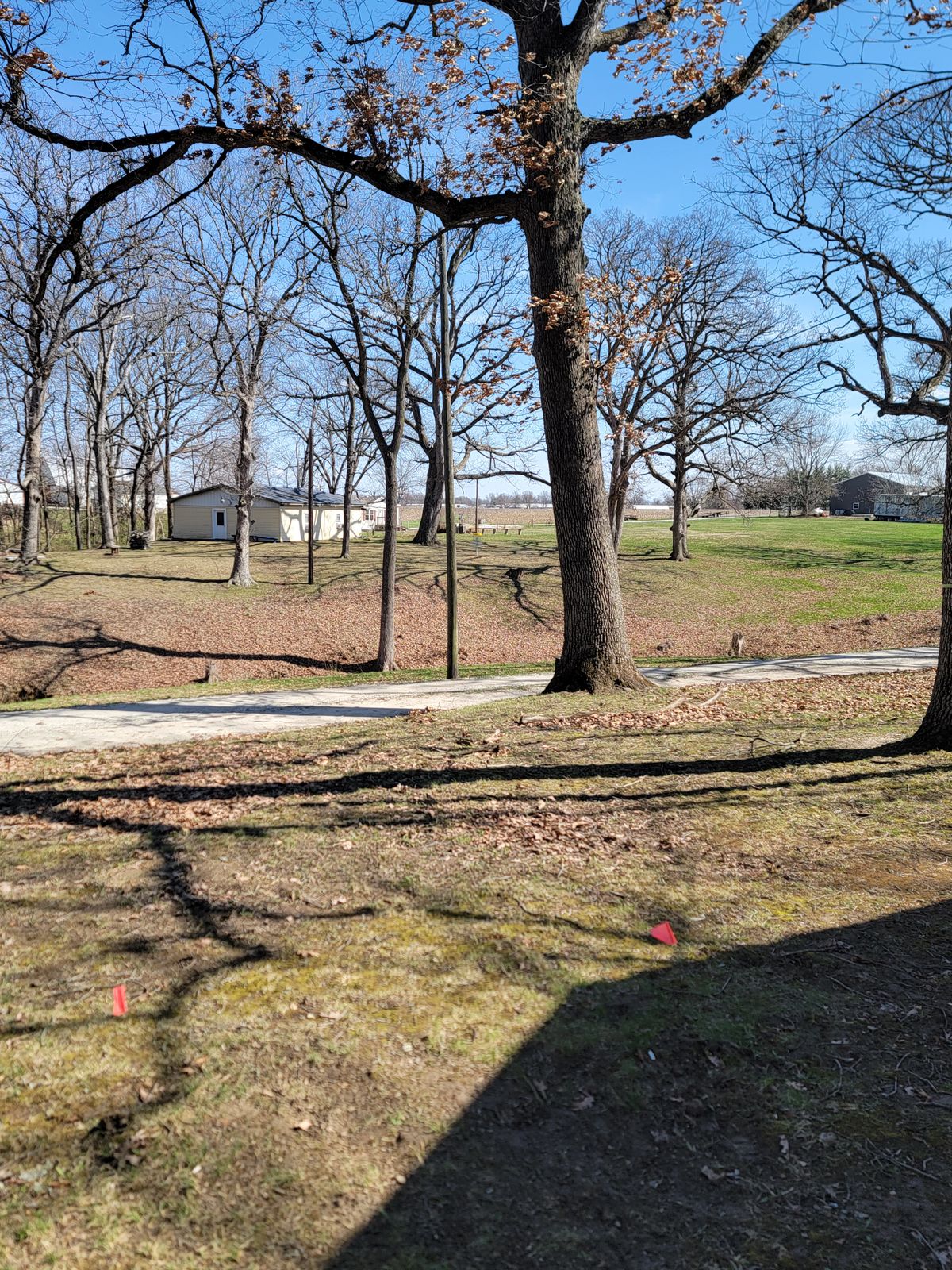 Hole 8 Tee