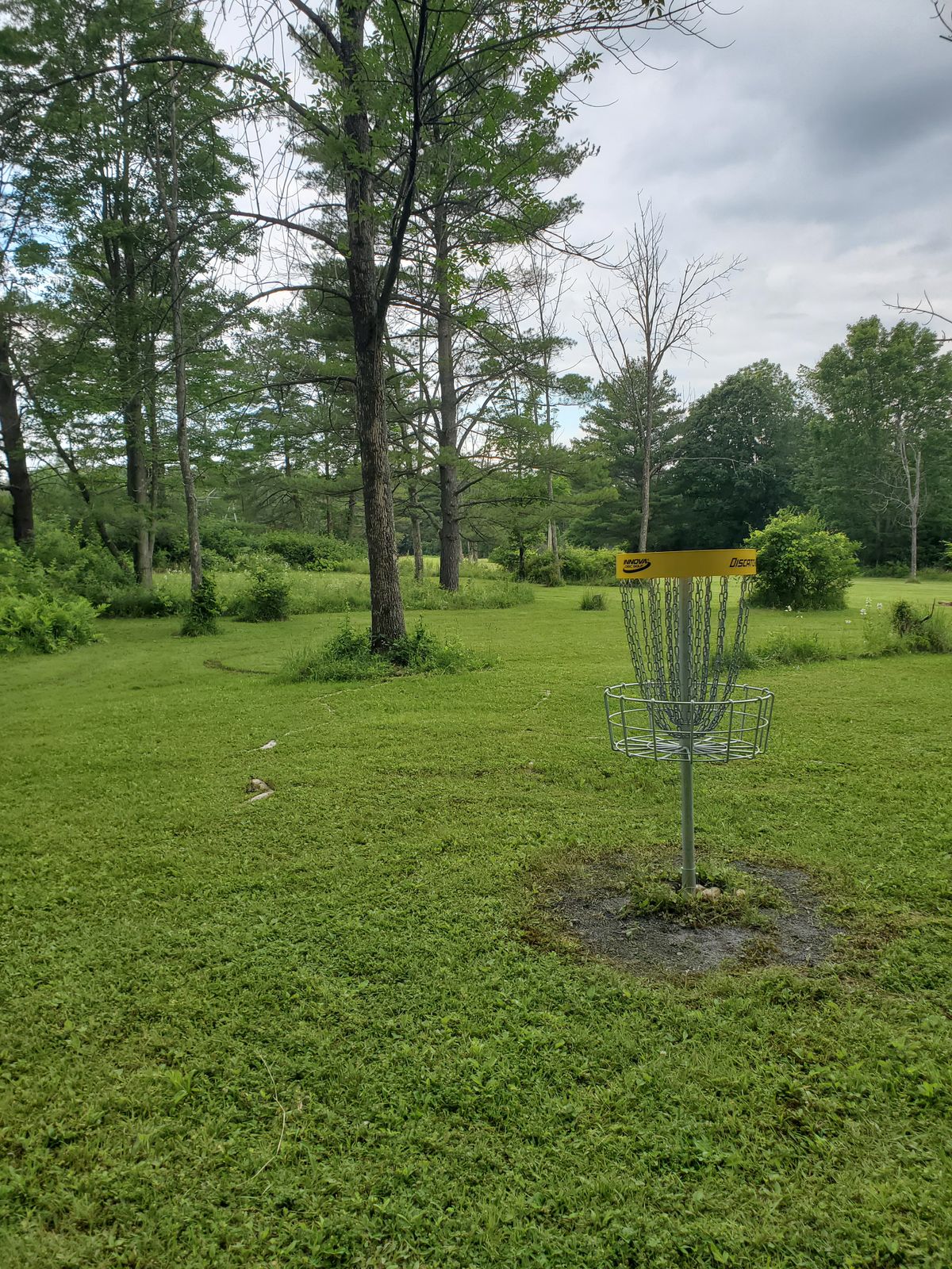 Hole 5 looking back at tees.