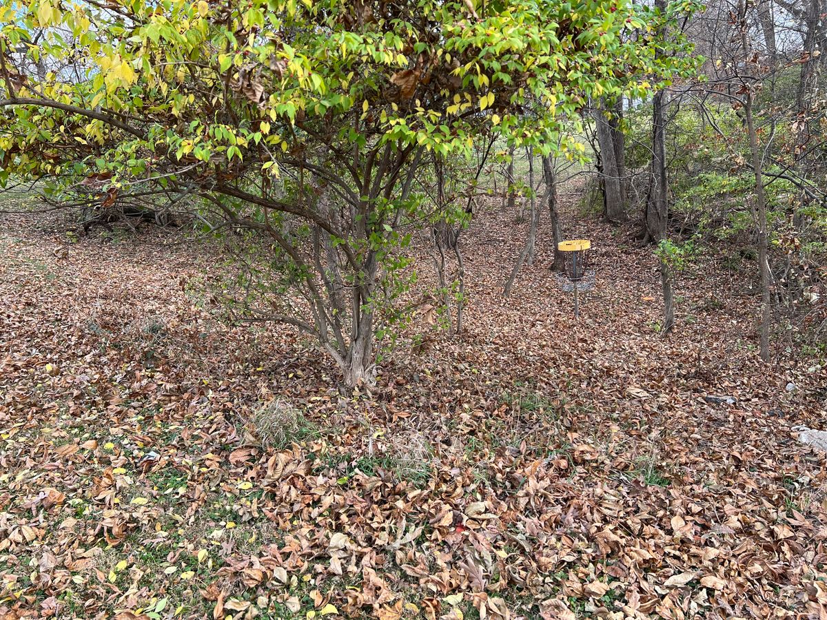 New hole 12 long/advanced location to south of pickle ball court