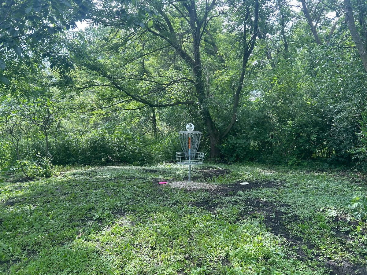 Hole 16 basket