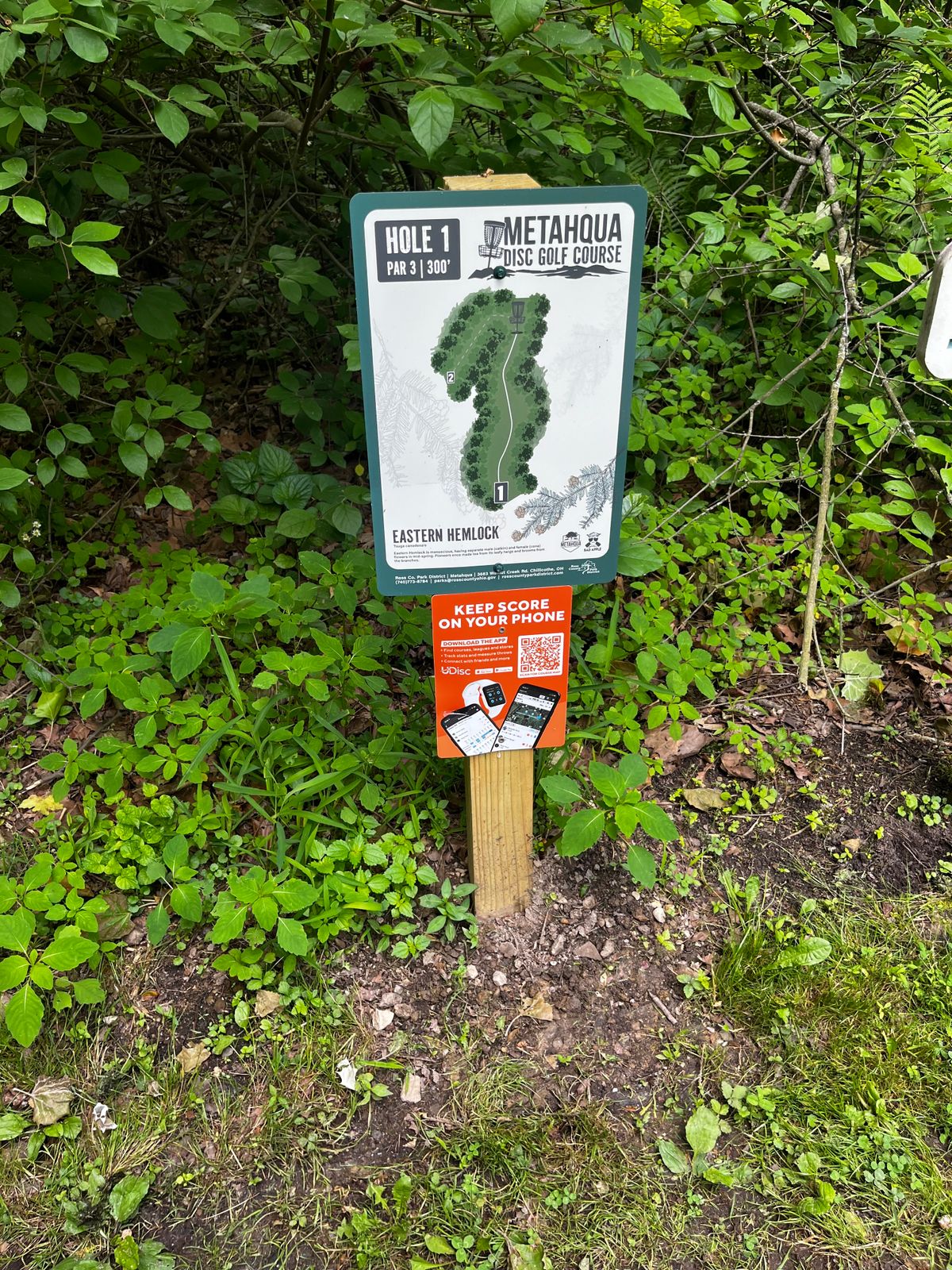 Hole 1 tee sign