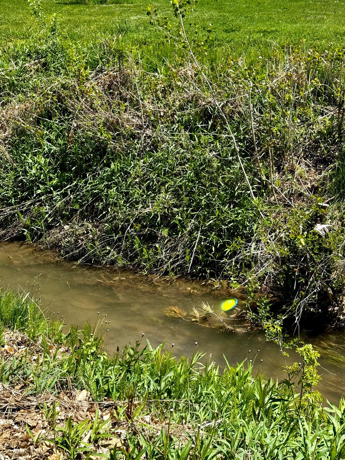 The stream you have to throw over at hole #6
